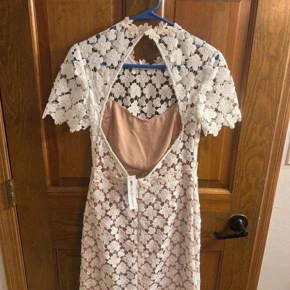 Stunning Lowry Dress By Jill Stuart Anthropologie BHLDN Collection Dress Size 6 - Picture 7 of 11